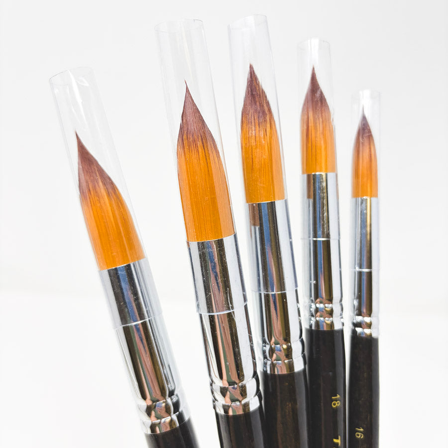 Transon Brush Set of 5