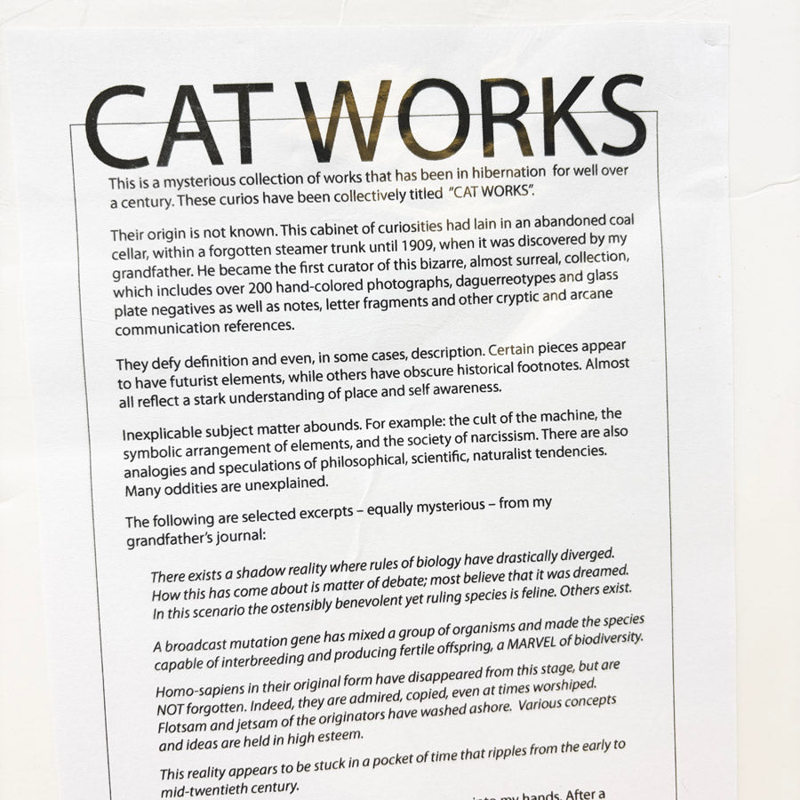 She Who Must Be Obeyed Art Print by Cat Works