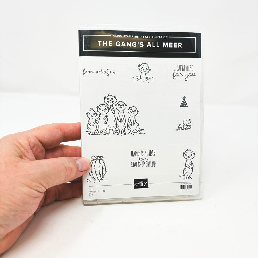 More Stampin' Up Cling Stamp Sets