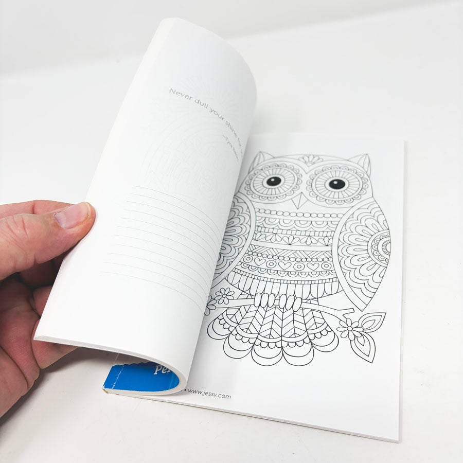 Design Originals Color Animals Coloring Book (1)