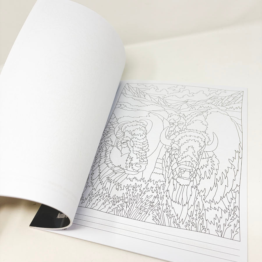 Wild Wonders Color By Number Coloring Book