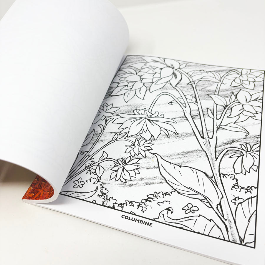 Wildflowers Crayola Coloring Book