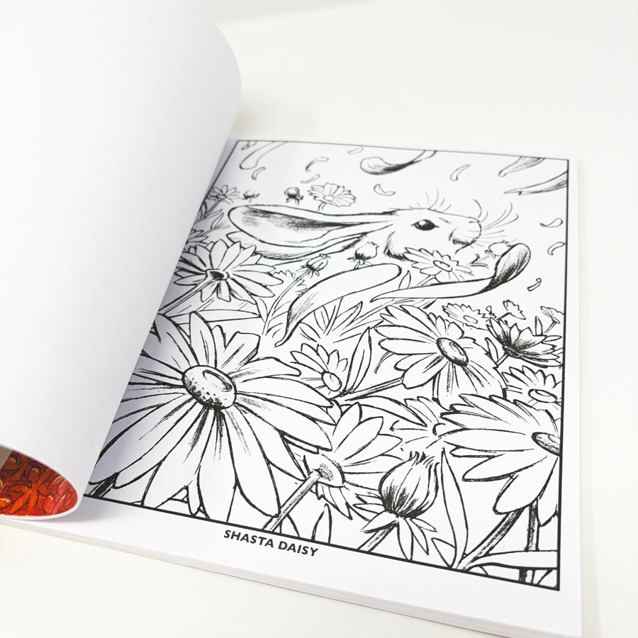 Wildflowers Crayola Coloring Book