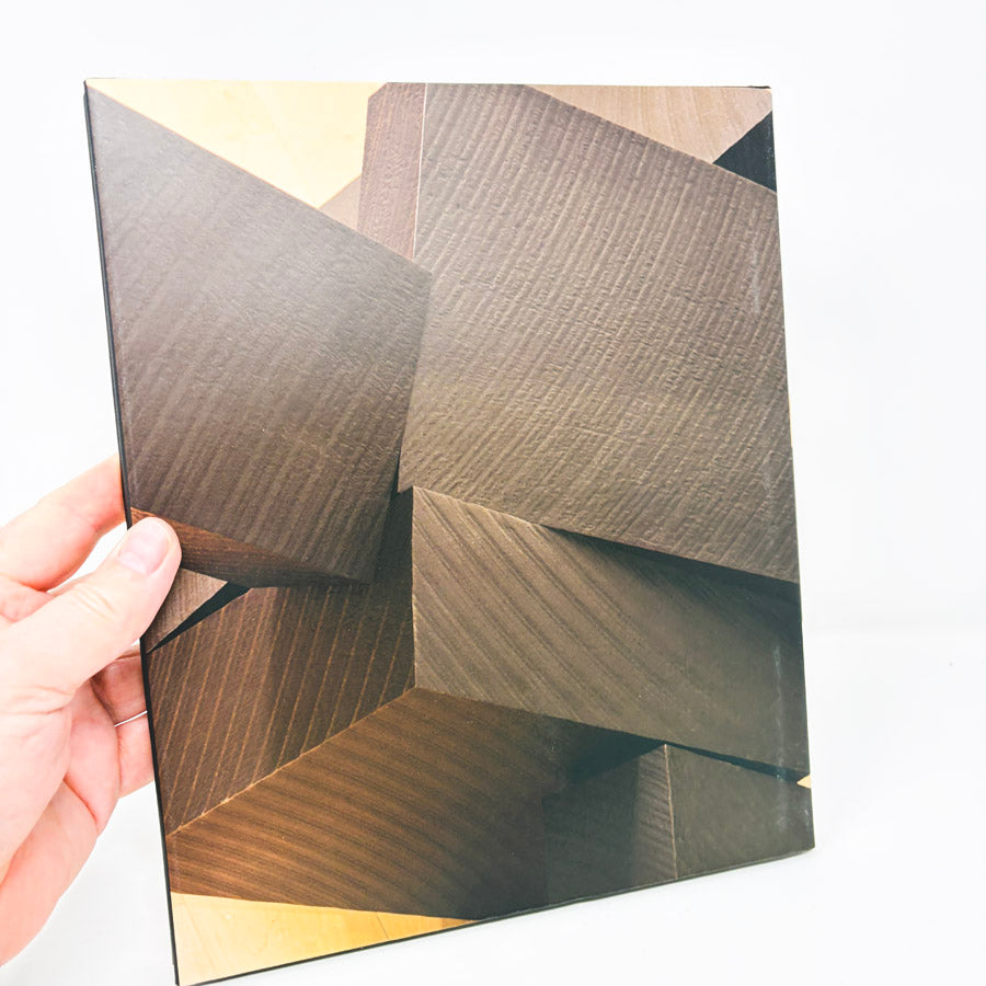 Joel Shapiro The Bronzes Exhibition Book