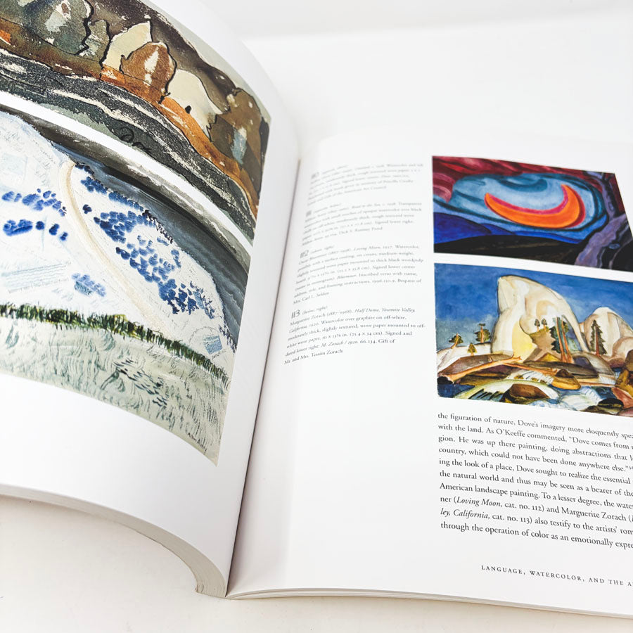 Masters of Color and Light Book