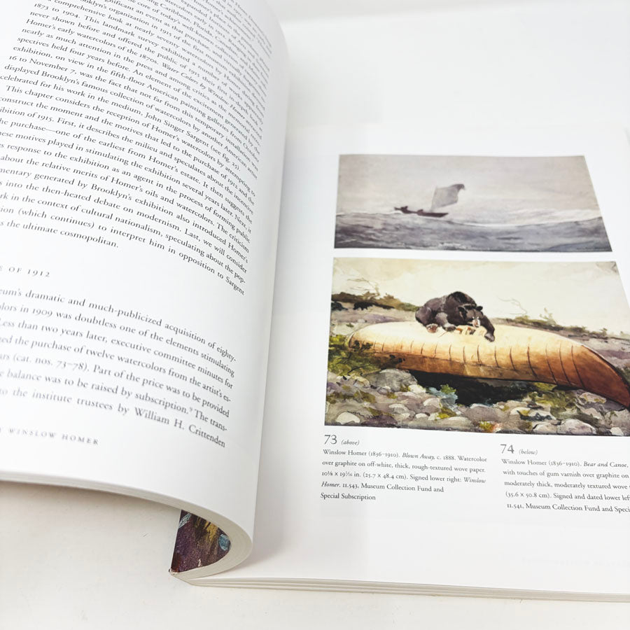 Masters of Color and Light Book