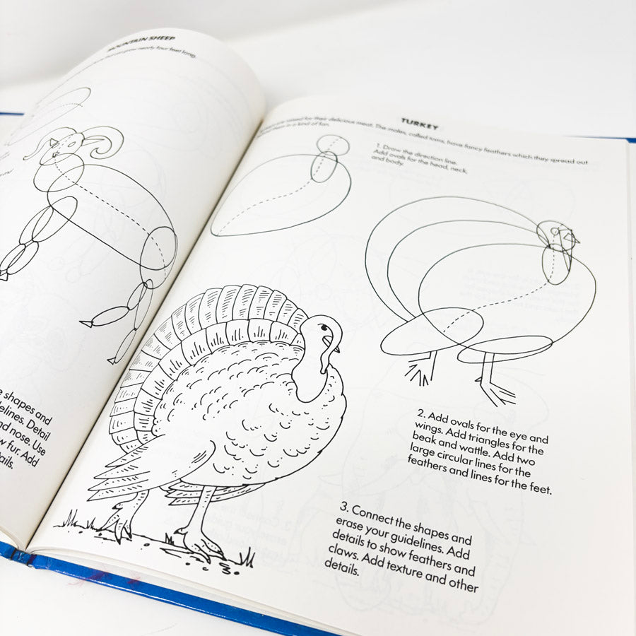 60 Things I Can Draw Books by Kaye Quinn