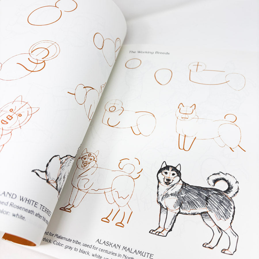 Draw 50 Books by Lee J. James