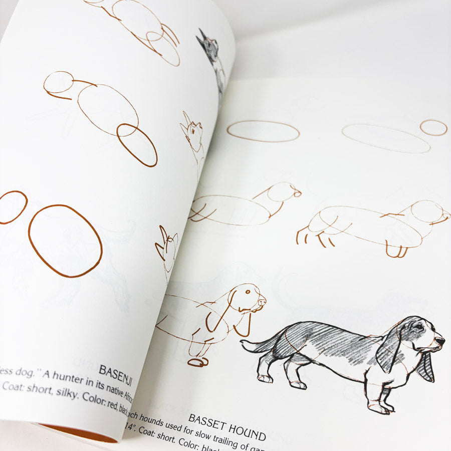 Draw 50 Books by Lee J. James