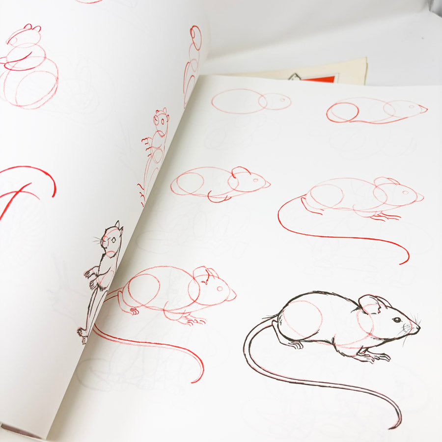 Draw 50 Books by Lee J. James
