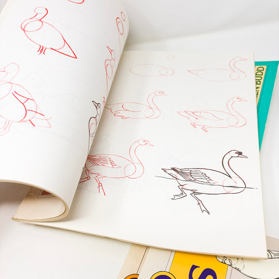 Draw 50 Books by Lee J. James