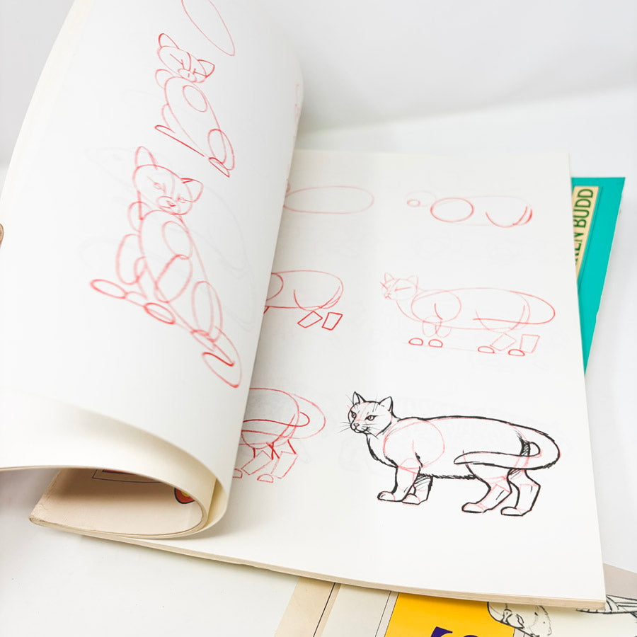Draw 50 Books by Lee J. James