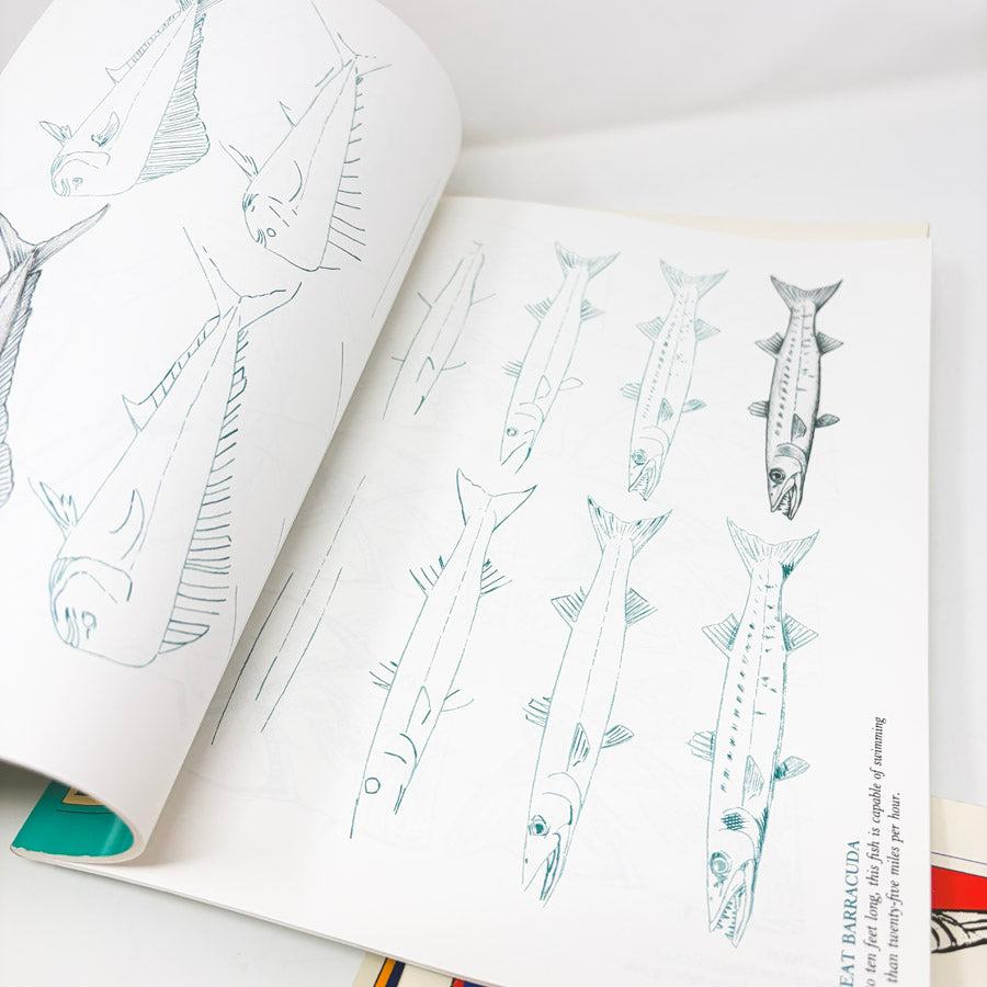 Draw 50 Books by Lee J. James