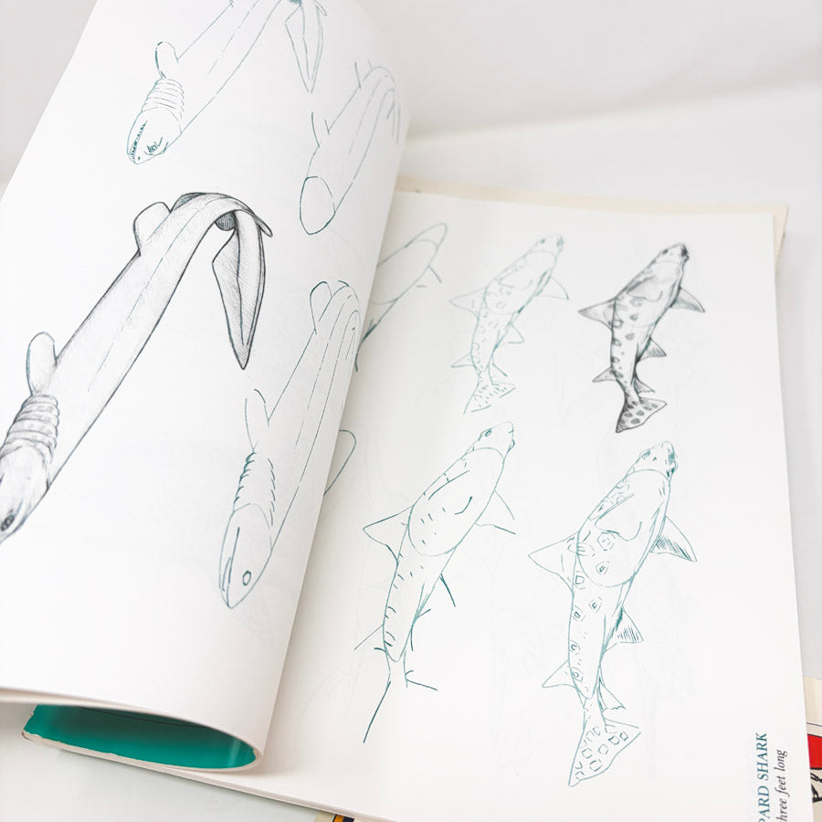 Draw 50 Books by Lee J. James