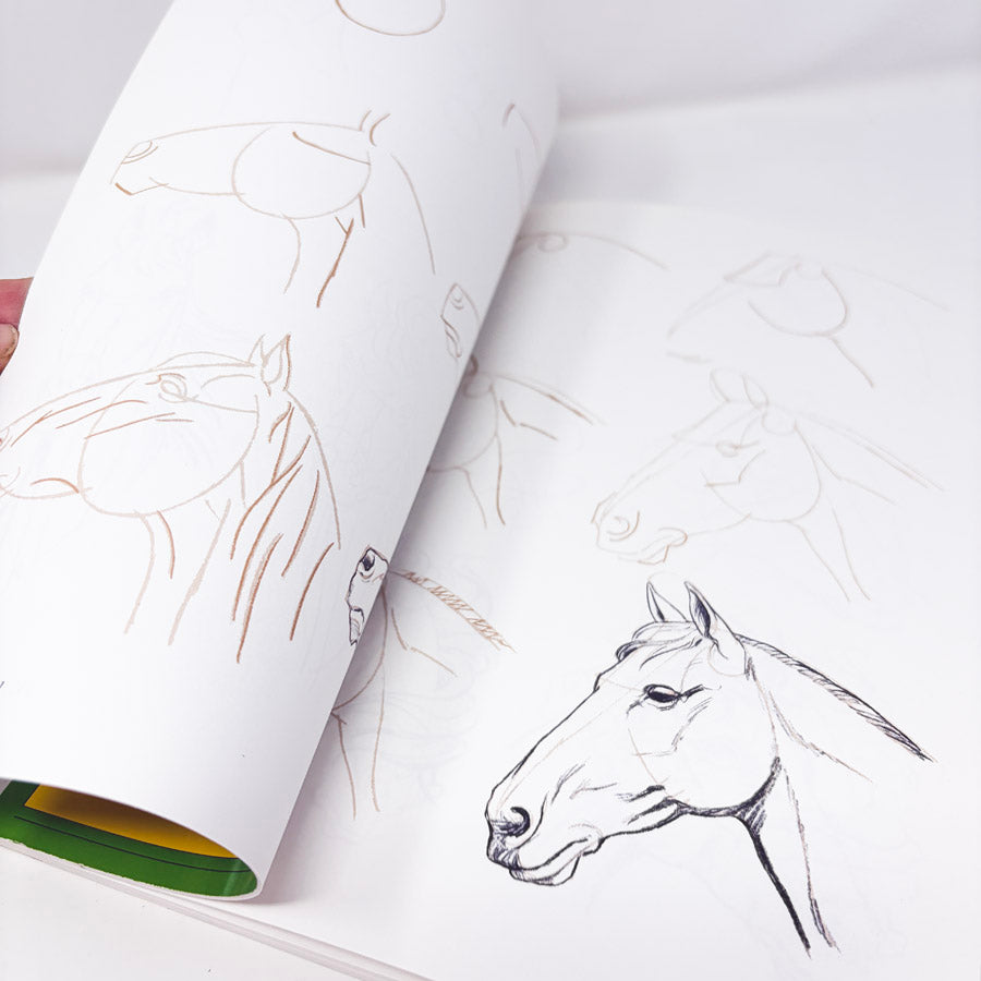Draw 50 Books by Lee J. James