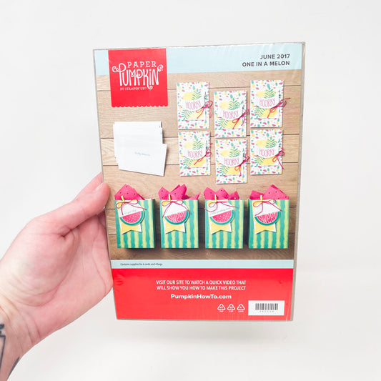 Stampin' Up June 2017 Paper Pumpkin Kit - One in a Melon