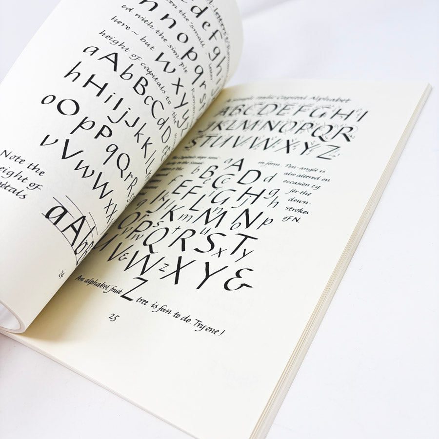 Calligraohy for the Beginner by Tom Gourdie