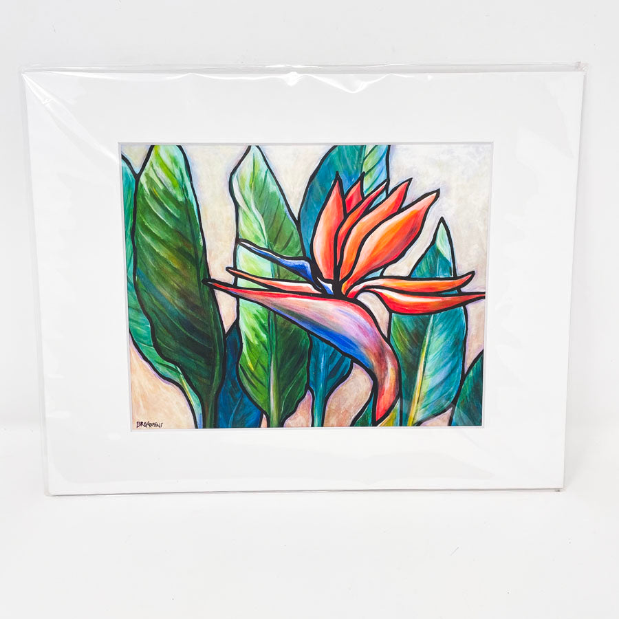 Birds of Paradise Giclee Print by Roxanne Broadbent