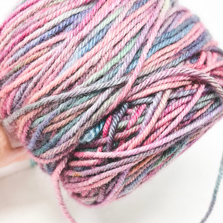 Pagewood Farm Chechako 4 Hand Dyed Yarn - Rainbow