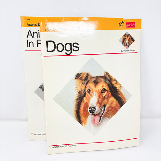 Walter Foster How to Draw and Paint Books