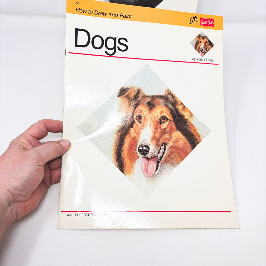Walter Foster How to Draw and Paint Books