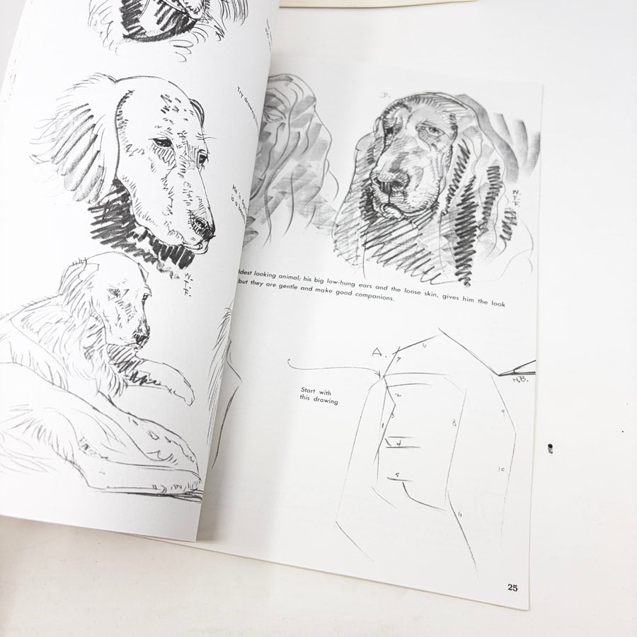 Walter Foster How to Draw and Paint Books