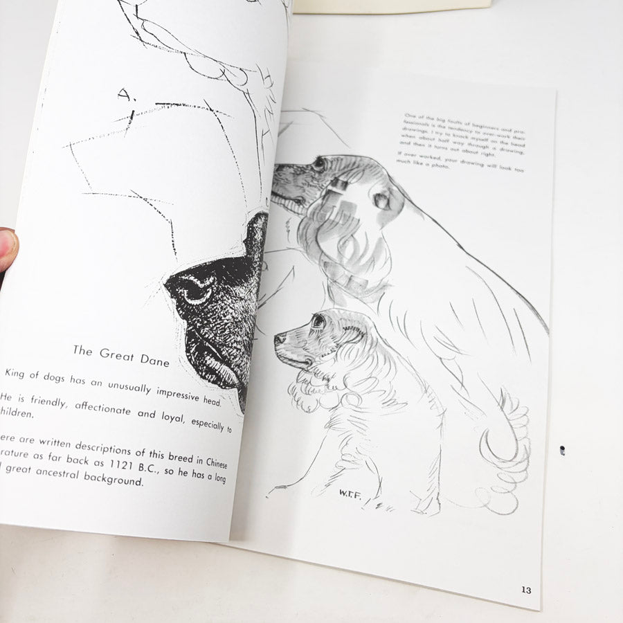 Walter Foster How to Draw and Paint Books