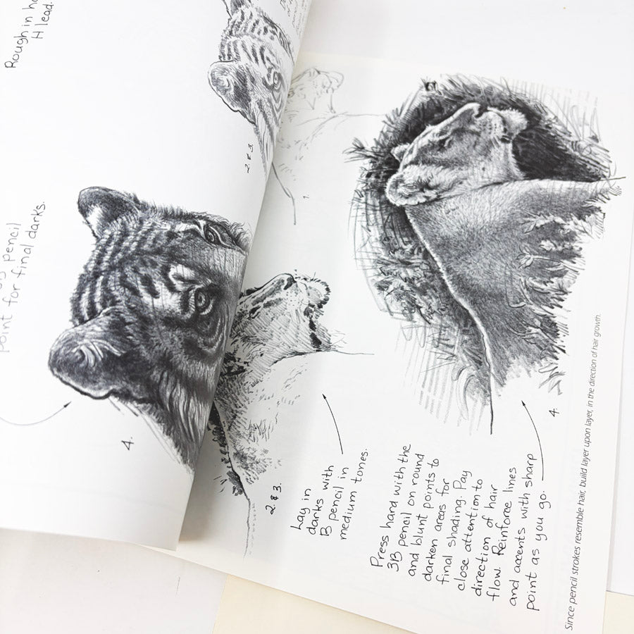 Walter Foster How to Draw and Paint Books
