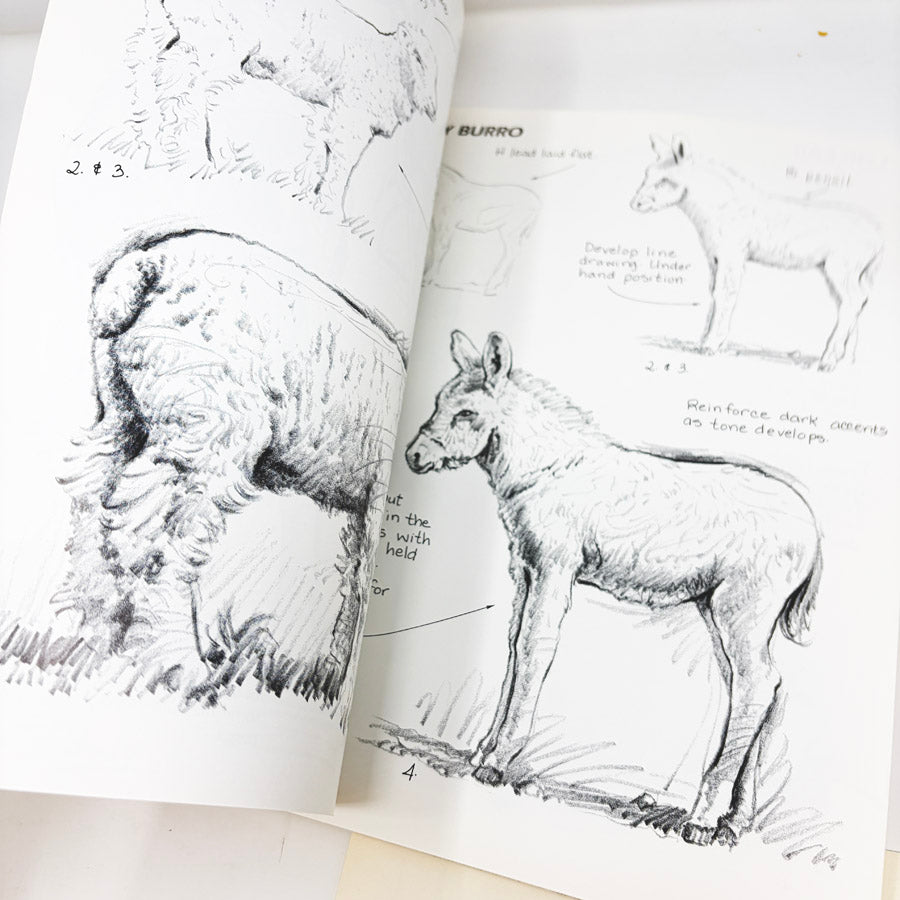 Walter Foster How to Draw and Paint Books