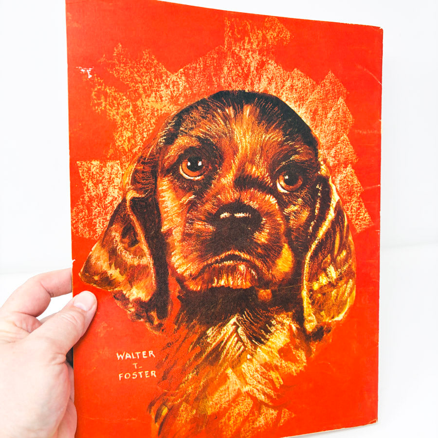 Vintage Walter Foster How to Draw Dogs Book