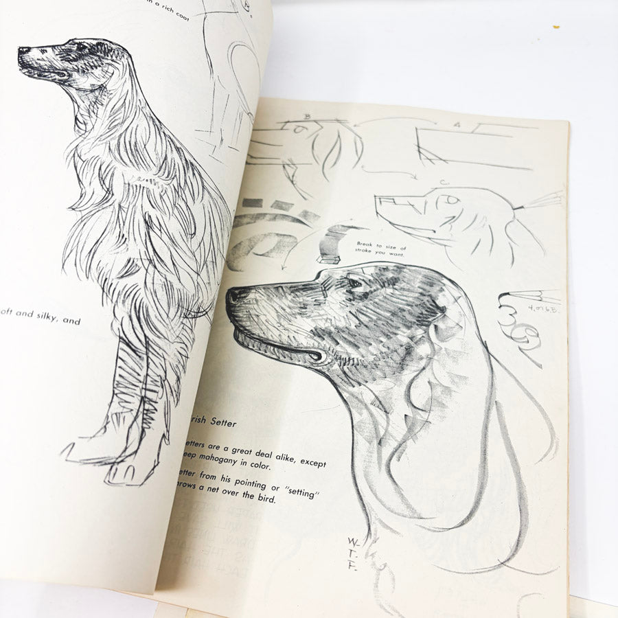 Vintage Walter Foster How to Draw Dogs Book