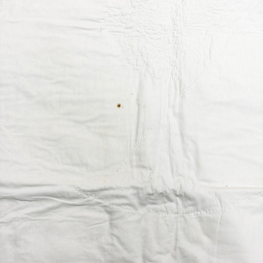 Benartex Pre-Printed Wholecloth Quilt Top - Natural