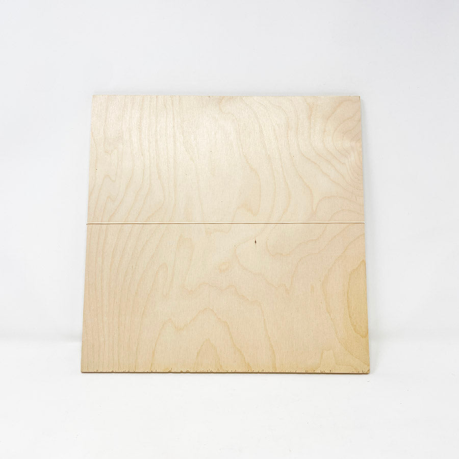 Two 12" Square Plywood Sheets