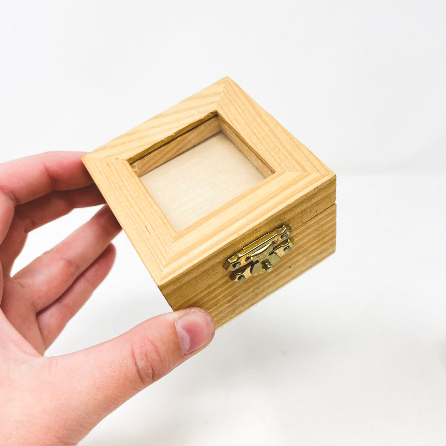 Square Box with Clasp and Clear Lid (1)