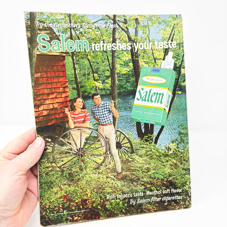 December 1966 Better Homes and Gardens Magazine