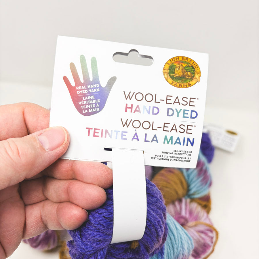 Lion Brand Wool-Ease Hand Dyed Yarn (1)
