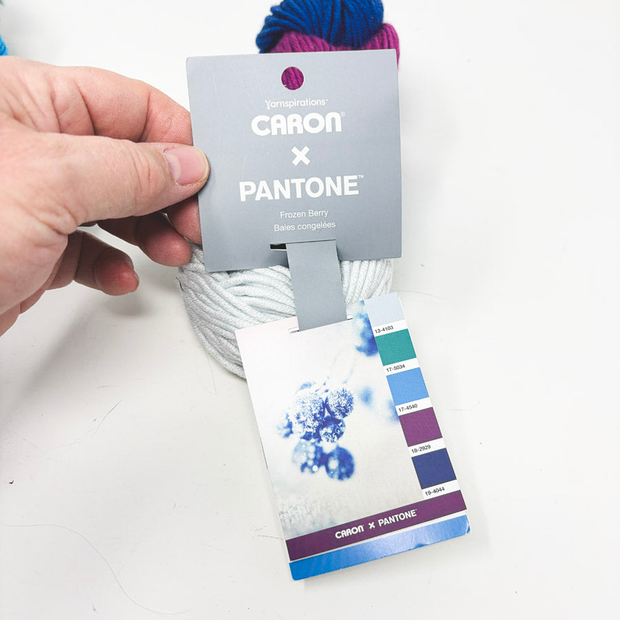 Frozen Berry Pantone Yarn by Caron Yarnspirations (1)