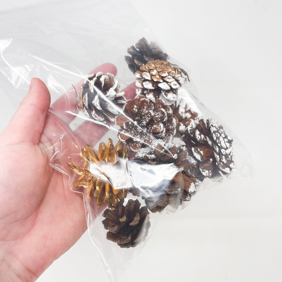 Small Bag of Flocked Pinecones