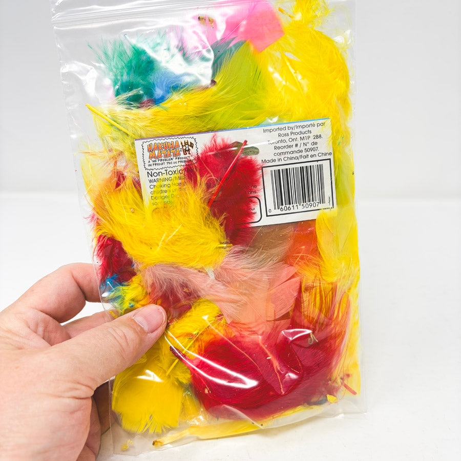 Bag of Colorful Feathers