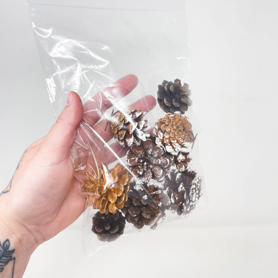 Small Bag of Flocked Pinecones