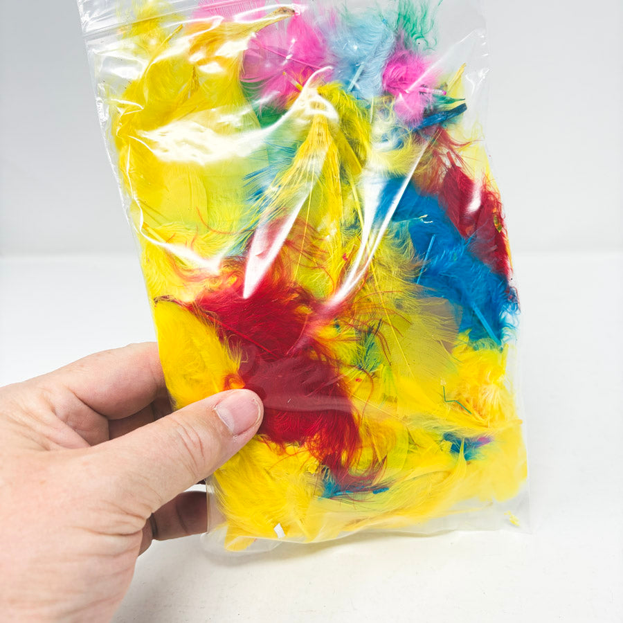 Bag of Colorful Feathers
