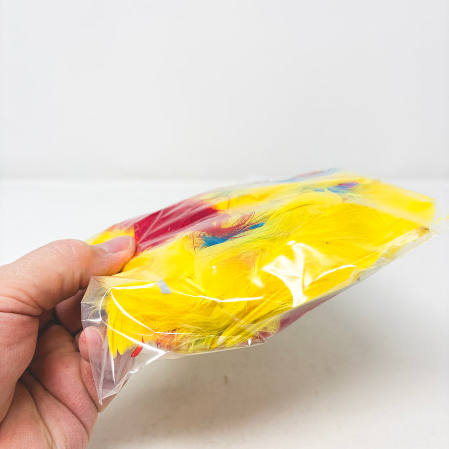 Bag of Colorful Feathers