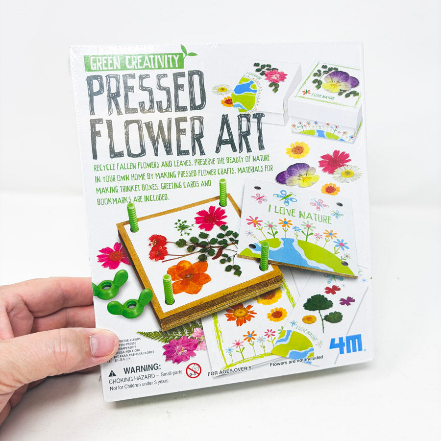 4M Green Creativity Pressed Flower Art (Sealed)