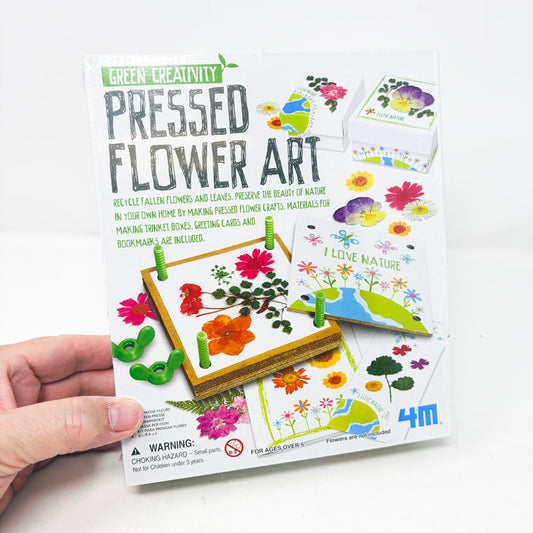 4M Green Creativity Pressed Flower Art (Sealed)