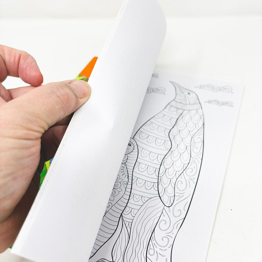 Birds Coloring Book
