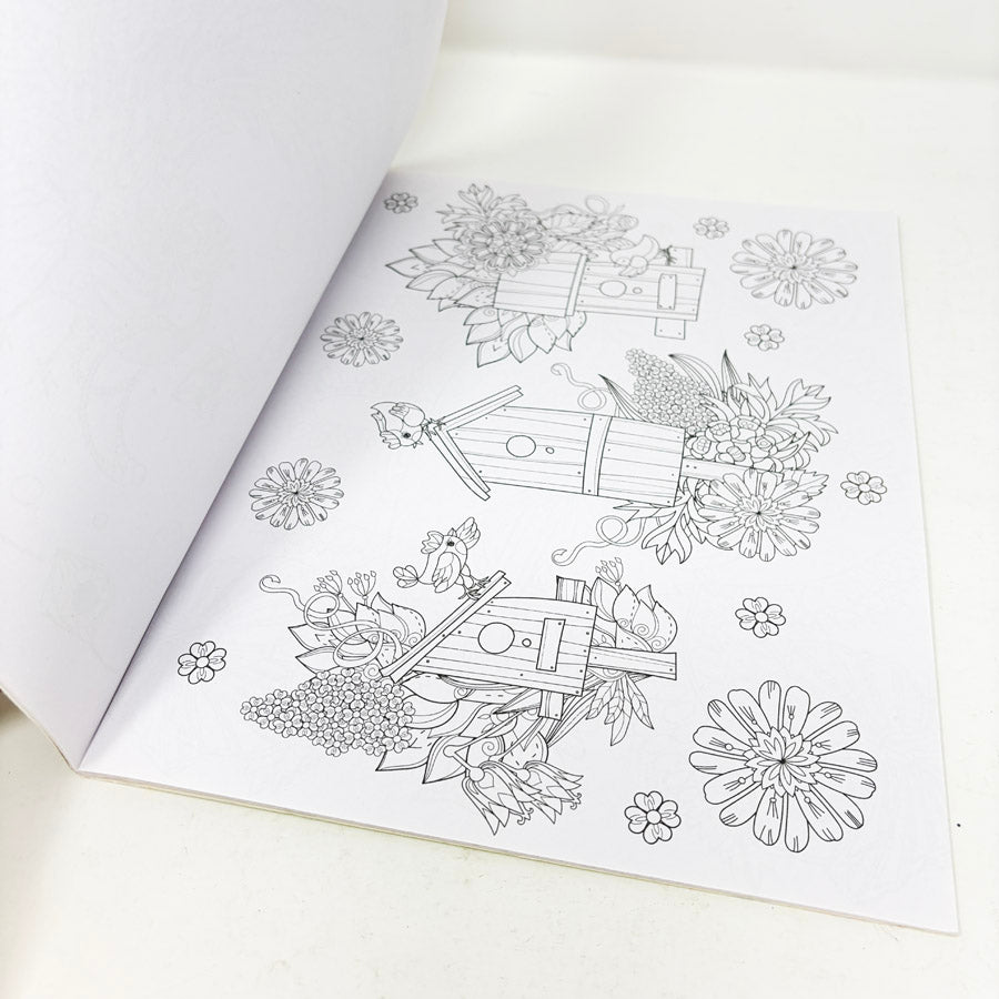 Birds Coloring Book