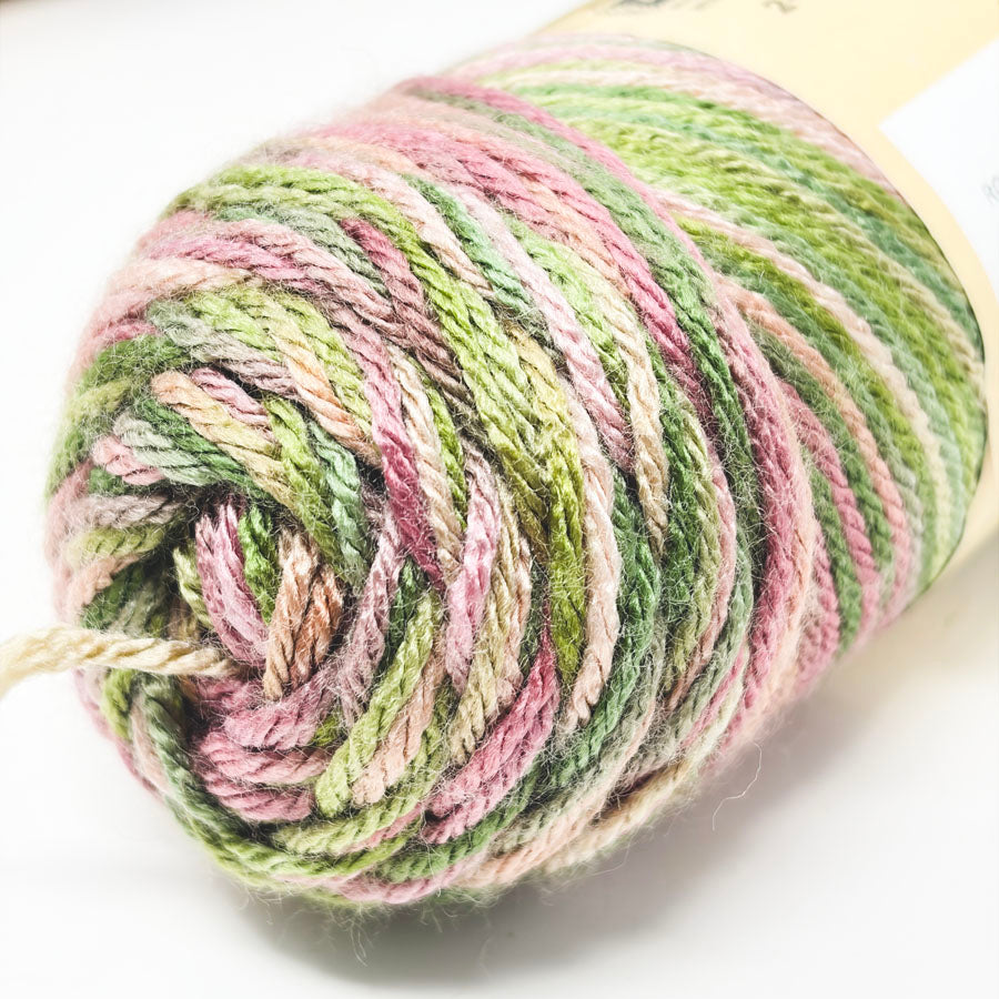 Caron Simply Soft Yarn - Colorways