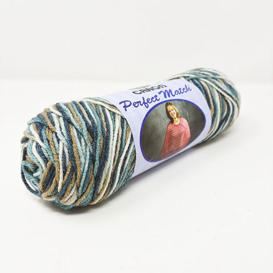 Caron Ombre Perfect Match Yarn