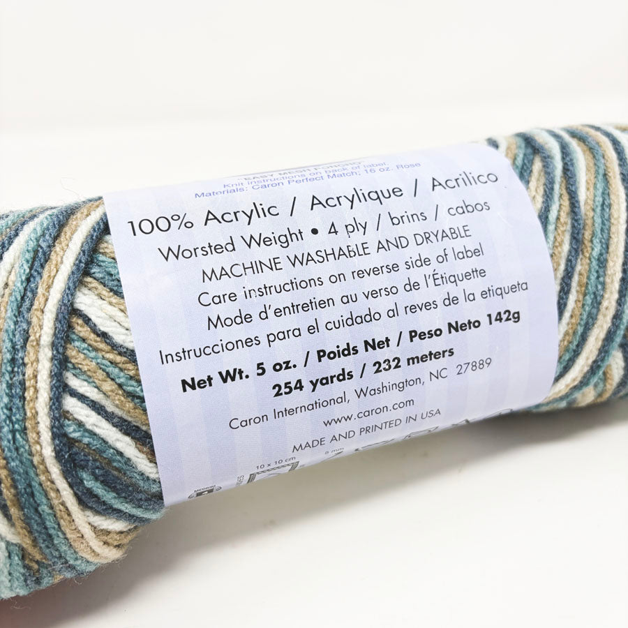 Caron Ombre Perfect Match Yarn