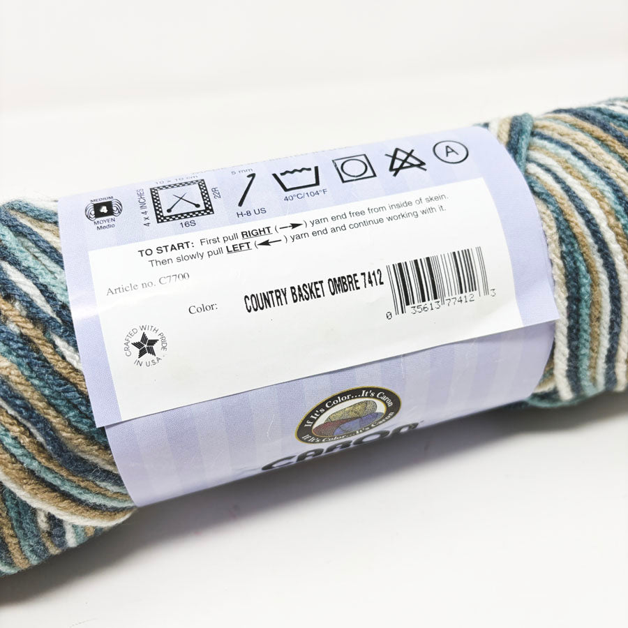 Caron Ombre Perfect Match Yarn